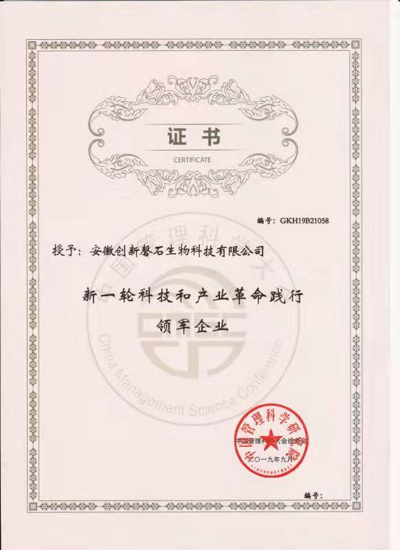 領(lǐng)軍企業(yè)證書4