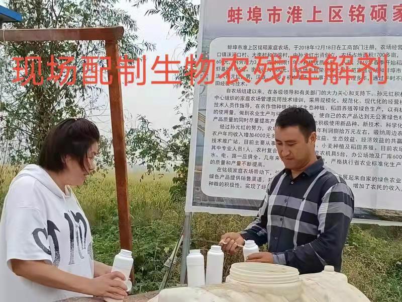 現(xiàn)場
