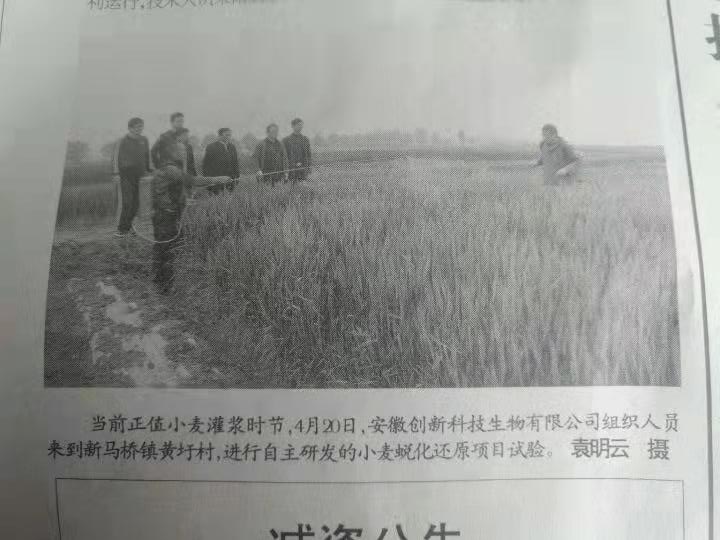 報(bào)紙2