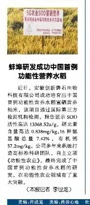 功能性大米蚌埠研發(fā)
