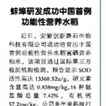 功能性大米蚌埠研發(fā)