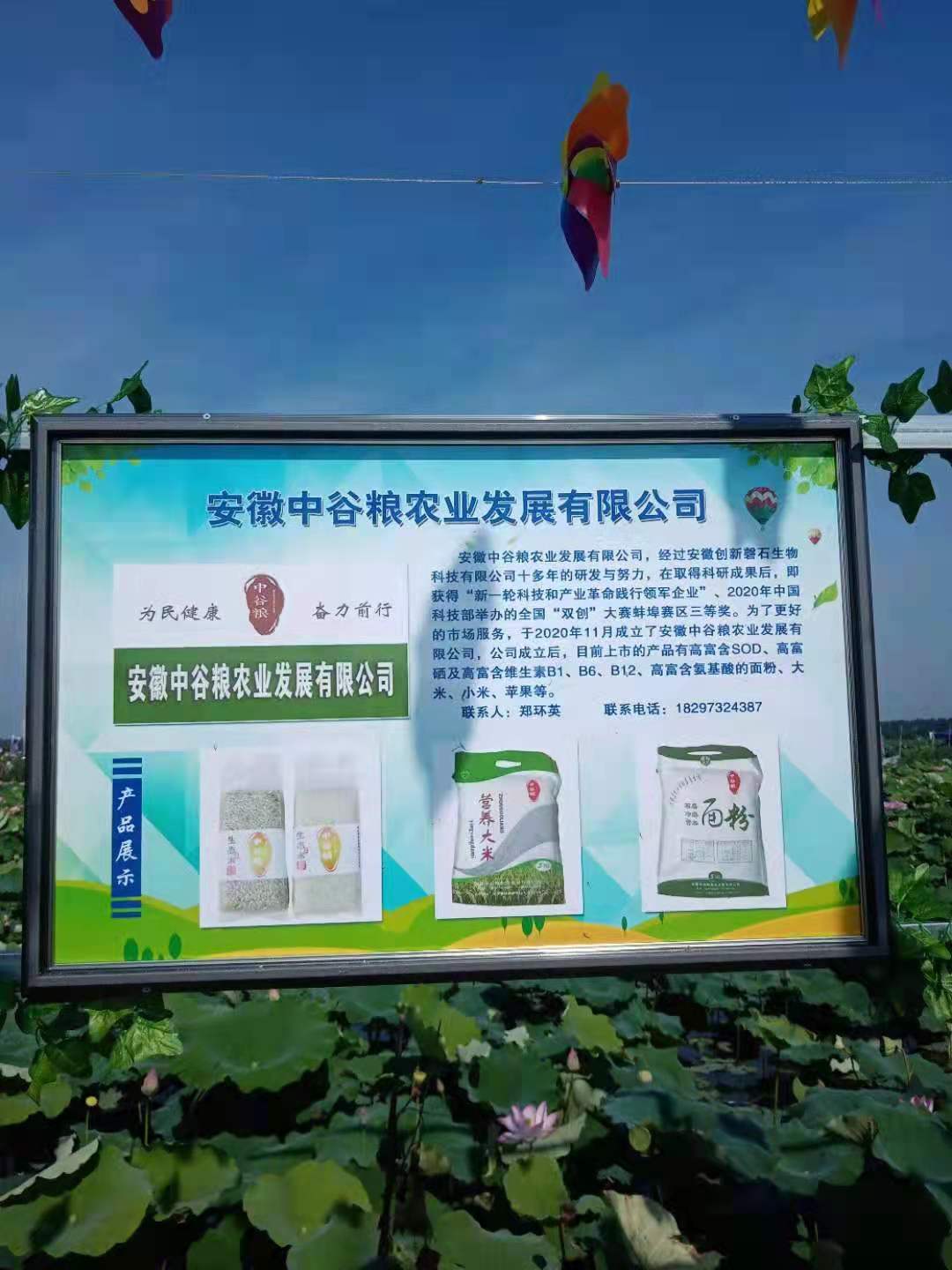 廣告牌