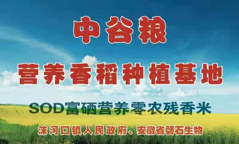 產(chǎn)品中心1
