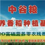 養(yǎng)殖基地